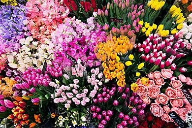 《地牢与餐桌》Steam页面上线 地下城探索收集冒险